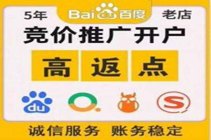 竞价推广公司案例分析：精准投放策略助力企业业绩翻倍